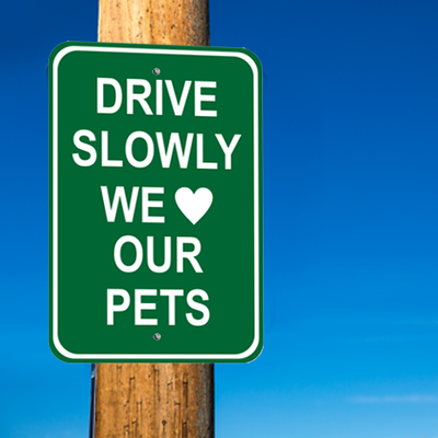 Pet Signs