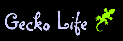 Theme Life Bumper Sticker