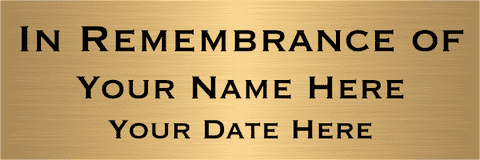In Remembrance Of 2" x 6" Brass Plates