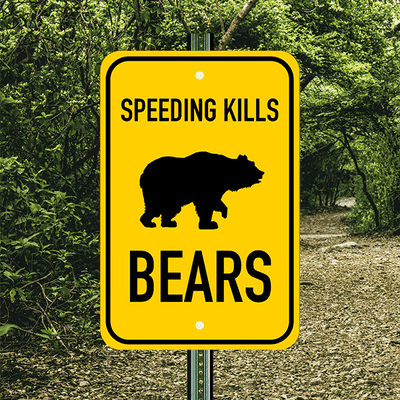 Vertical Speeding Kills Bears Sign - alternate view