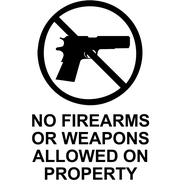 6" x 4" No Weapons Die Cut Vinyl Decal
