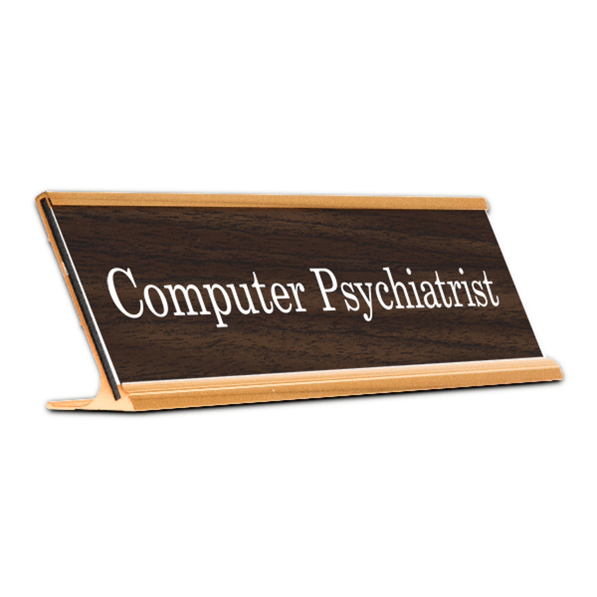 Computer Psychiatrist Desk Plate
