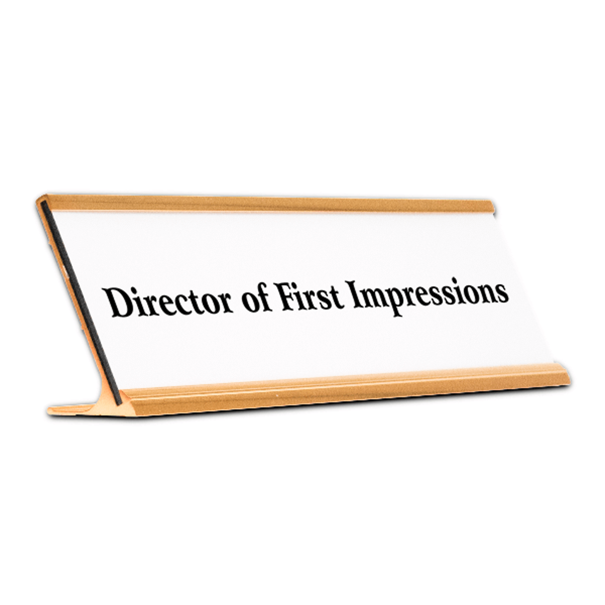 Director of First Impressions Funny Name Plate