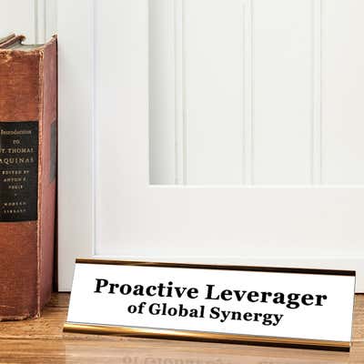 Proactive Leverager - alternate view