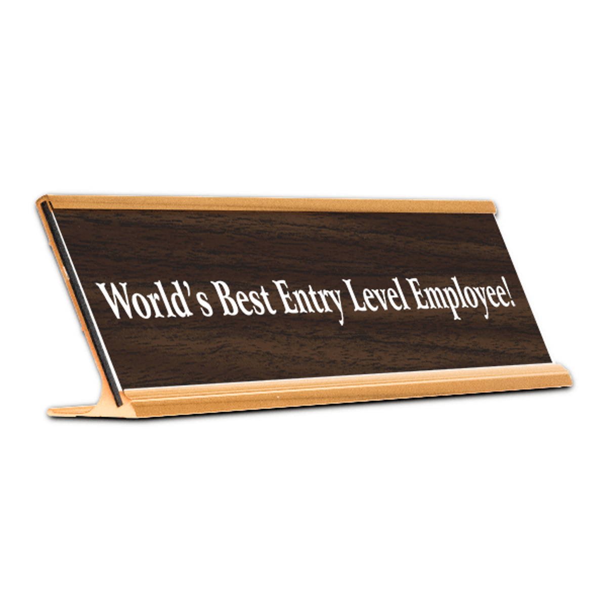 World's Best Entry Level Employee! Funny Name Plate