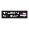 Anti-Trump Political Bumper Sticker