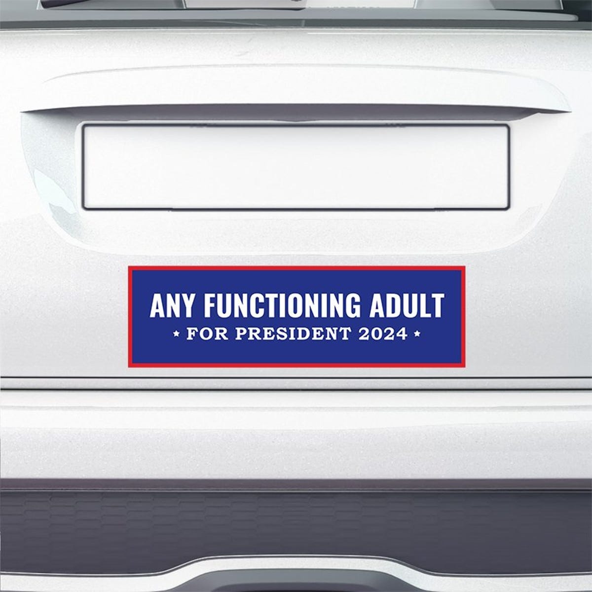 Any Functioning Adult Bumper Sticker on the bumper of a white car