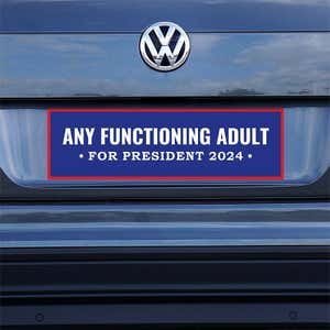 Any Functioning Adult Bumper Sticker on a gray car