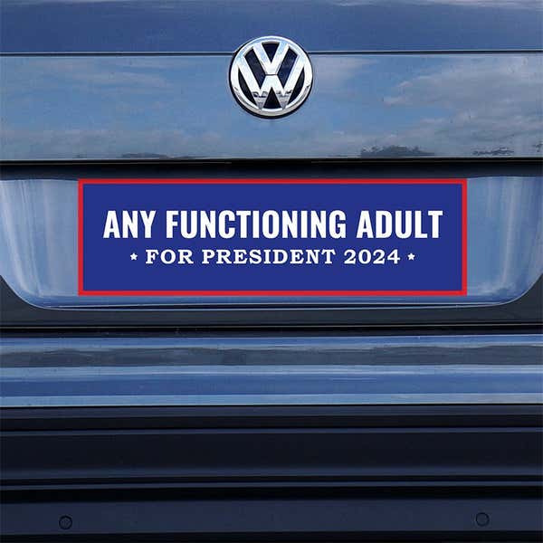 Any Functioning Adult Bumper Sticker on a gray car