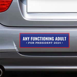 Any Functioning Adult Bumper Sticker on the bumper of a gray car
