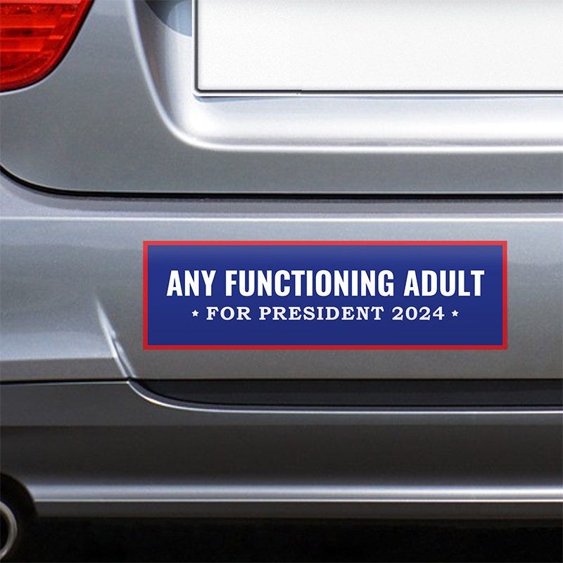 Any Functioning Adult Bumper Sticker on the bumper of a gray car