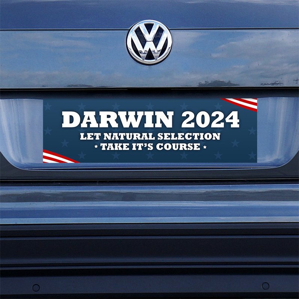 Darwin Political Bumper Sticker on a gray car