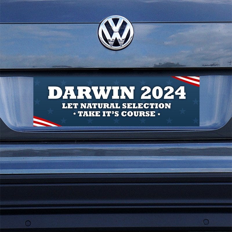 Darwin Political Bumper Sticker on a gray car