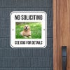 No soliciting sign with a golden retriever dog on grass custom pet photo reading, "See dog for details. 