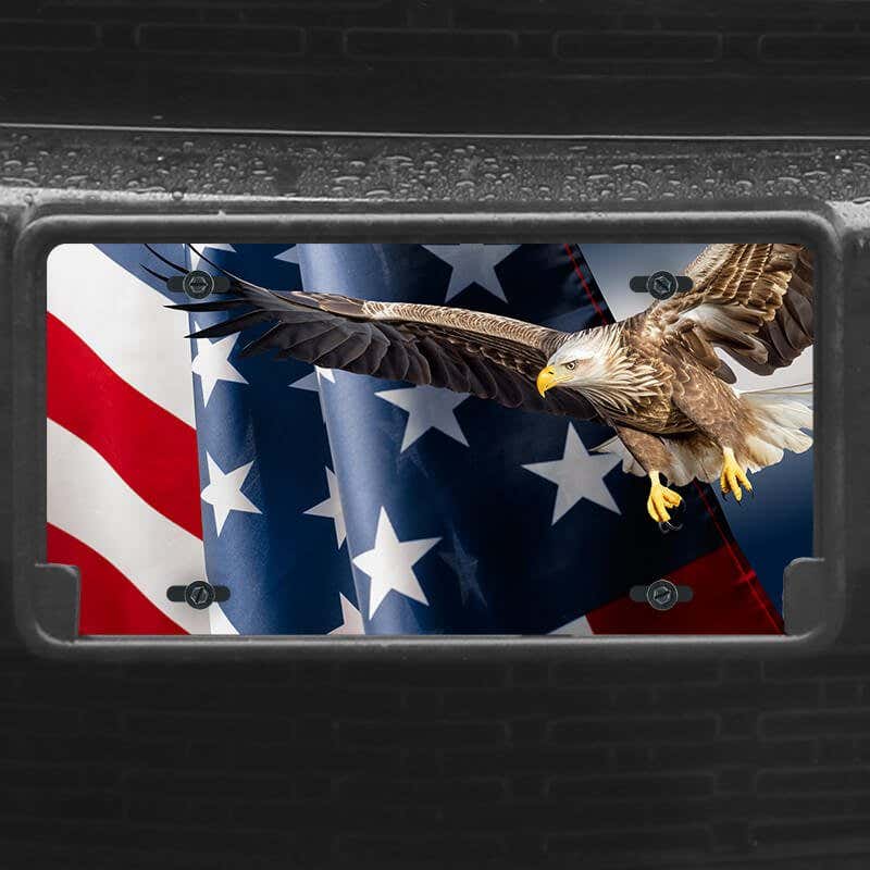 A close up of the American Flag and Eagle front license plate on a black car