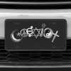 A close up of the Coexist front license plate on a white car