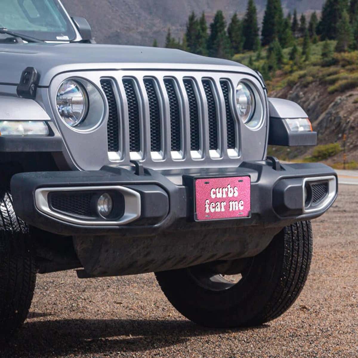 Curbs Fear Me front license plate on a Jeep