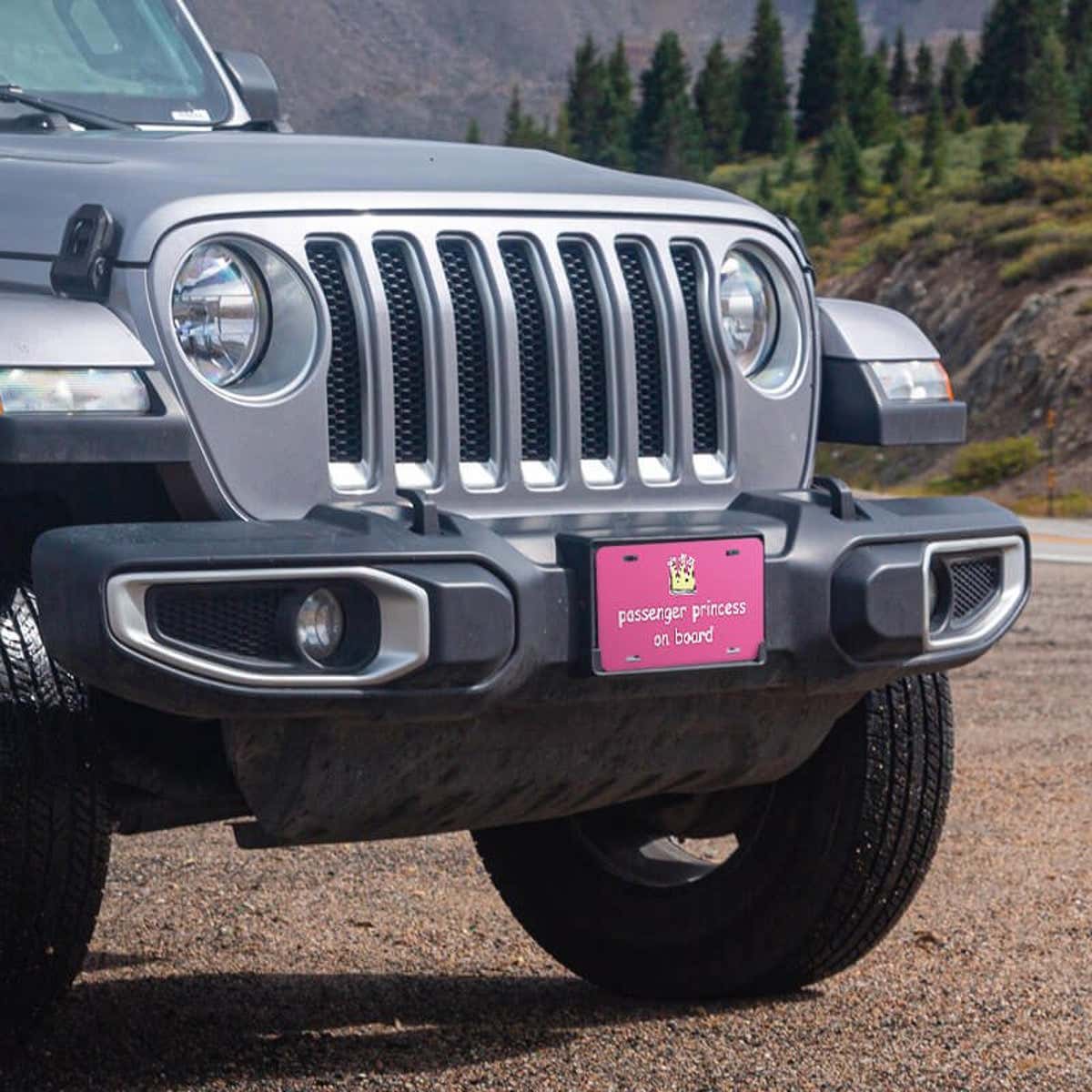 Passenger Princess front license plate on a Jeep
