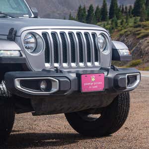 Passenger Princess front license plate on a Jeep
