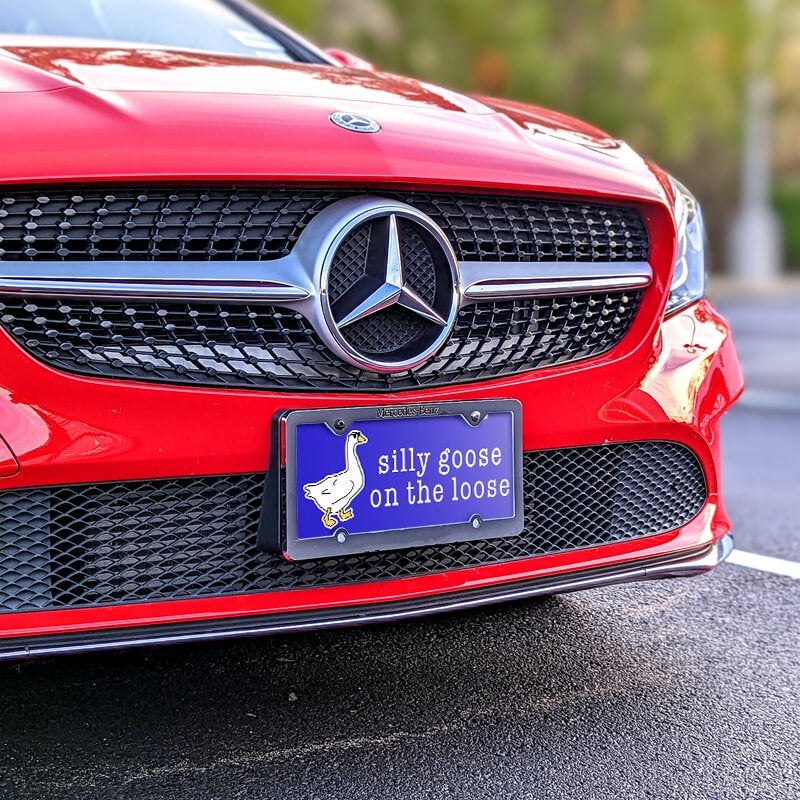 Silly Goose front license plate on a red car