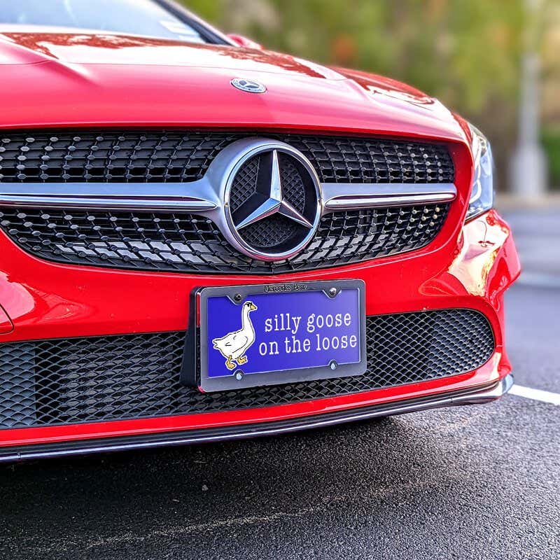 Silly Goose front license plate on a red car