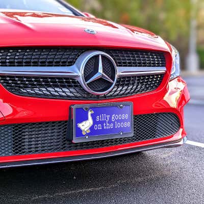 Silly Goose - Cute Front License Plate - alternate view