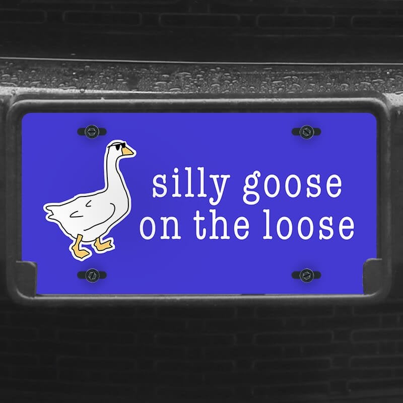 A close up of the Silly Goose front license plate on a black car