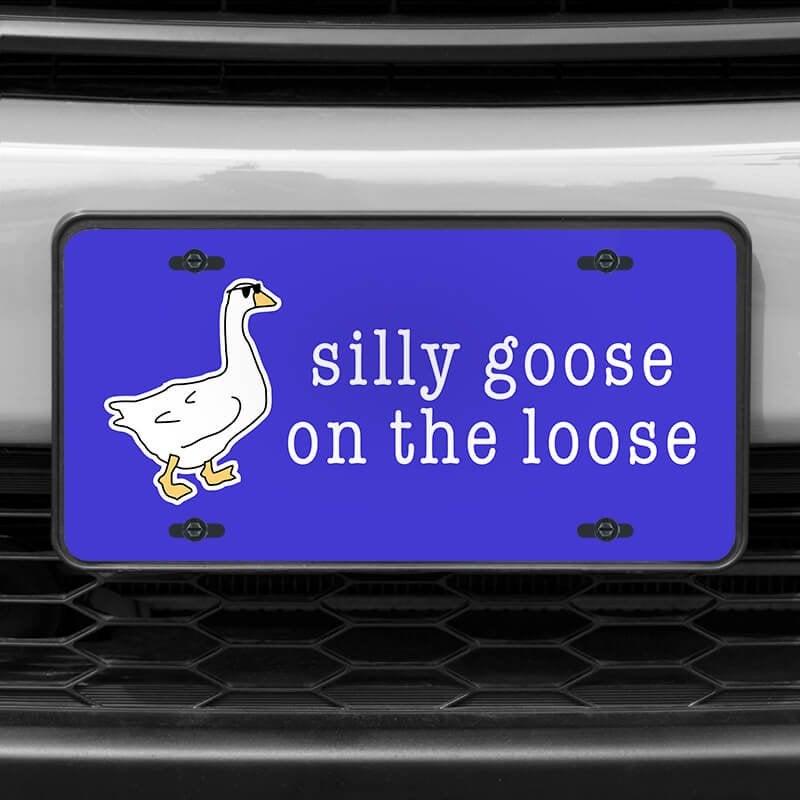 A close up of the Silly Goose front license plate on a white car