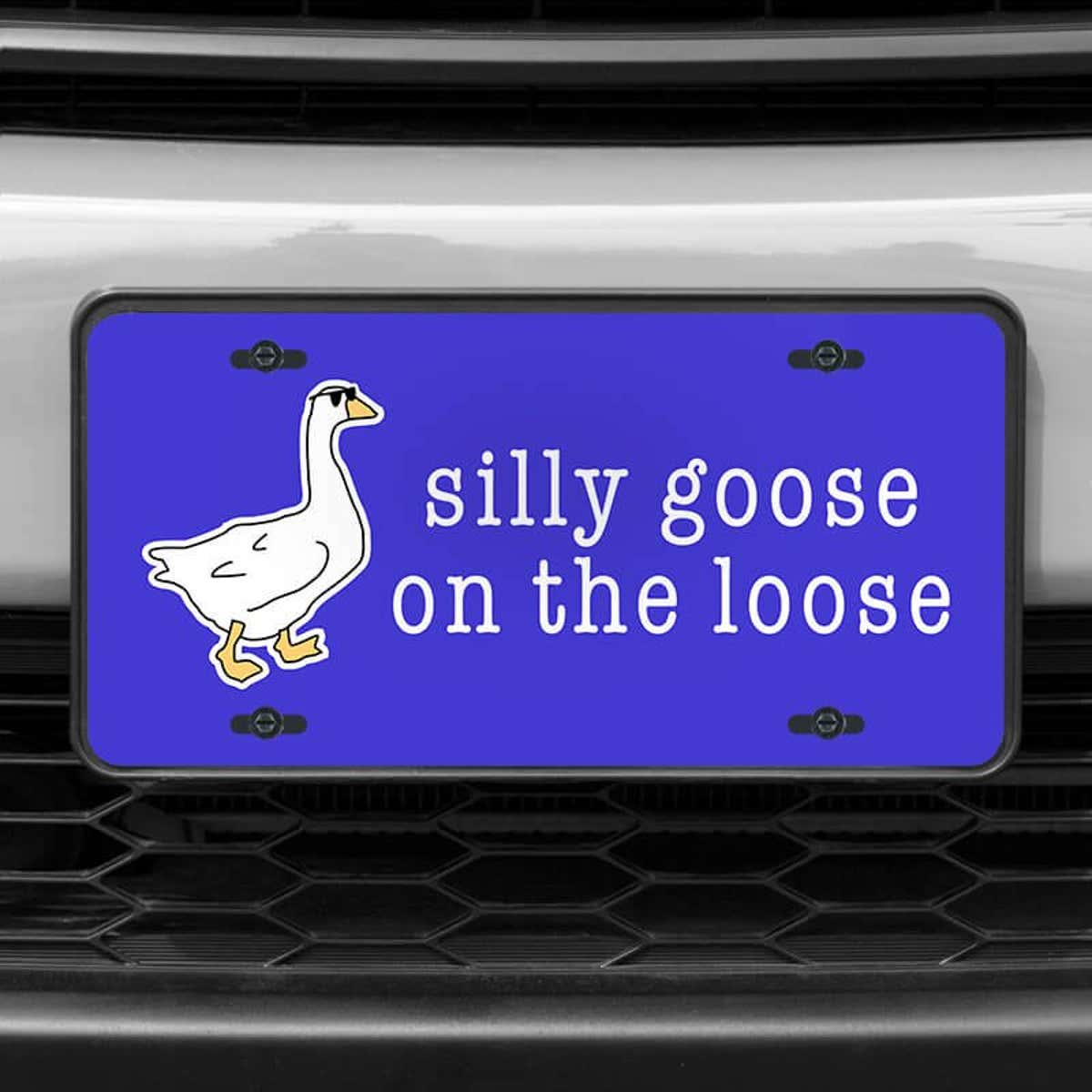 A close up of the Silly Goose front license plate on a white car