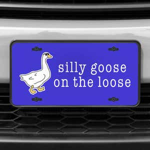 A close up of the Silly Goose front license plate on a white car