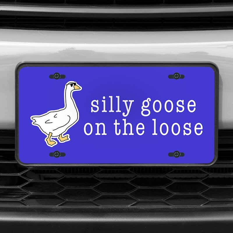 A close up of the Silly Goose front license plate on a white car