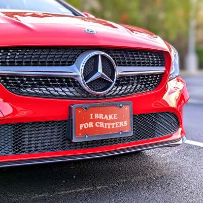 I Brake For Critters - Cute Front License Plate - alternate view