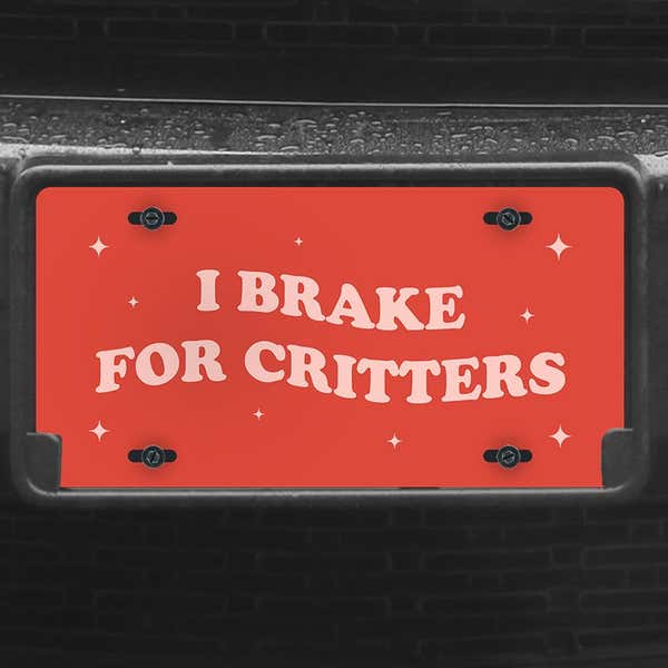 A close up of the I Brake For Critters front license plate on a black car