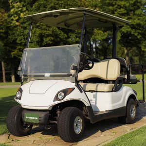 White Golf Cart with a Custom License Plate Saying "Anderson"