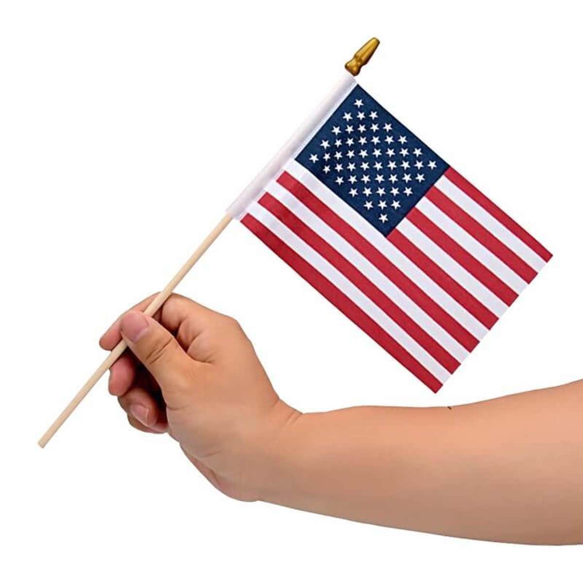 Set of 2 Small American Flag for Yard Signs