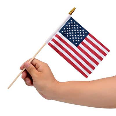 Set of 2 Small American Flag for Yard Signs