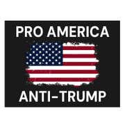 Pro America Anti-Trump Yard Sign