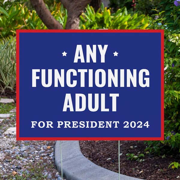 Any Functioning Adult Yard Sign Next to Pavement
