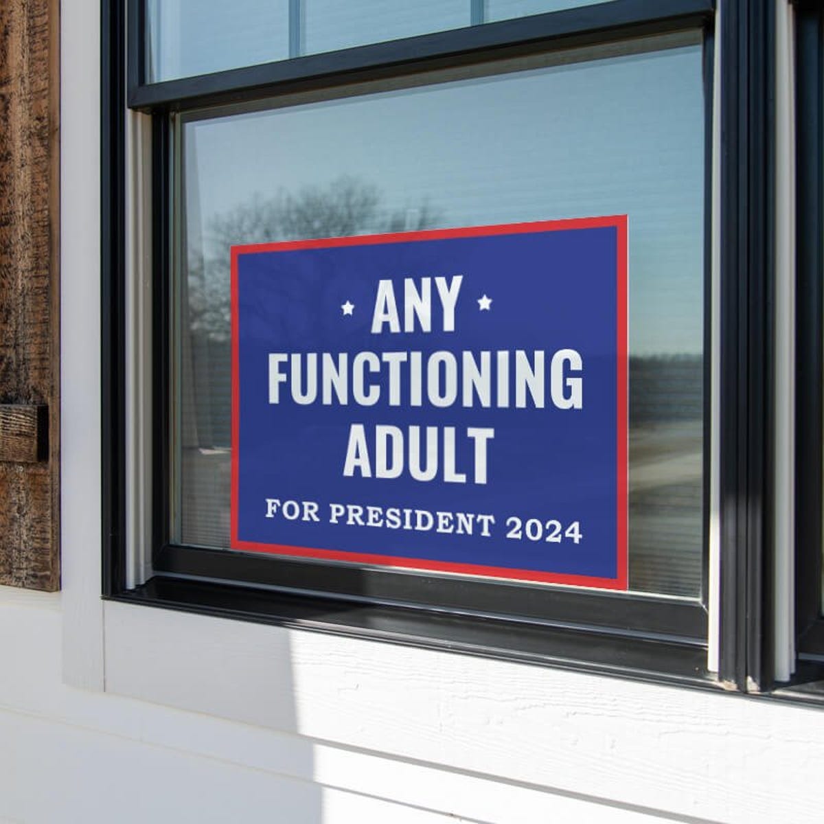 Any Functioning Adult Yard Sign in a Window