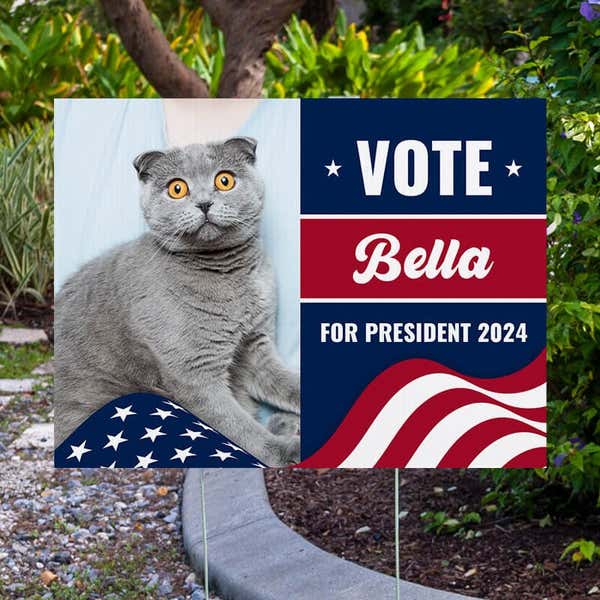 Custom Photo Funny Political Yard Sign Next to Pavement