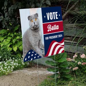 Custom Photo Funny Political Yard Sign Next to Stairs