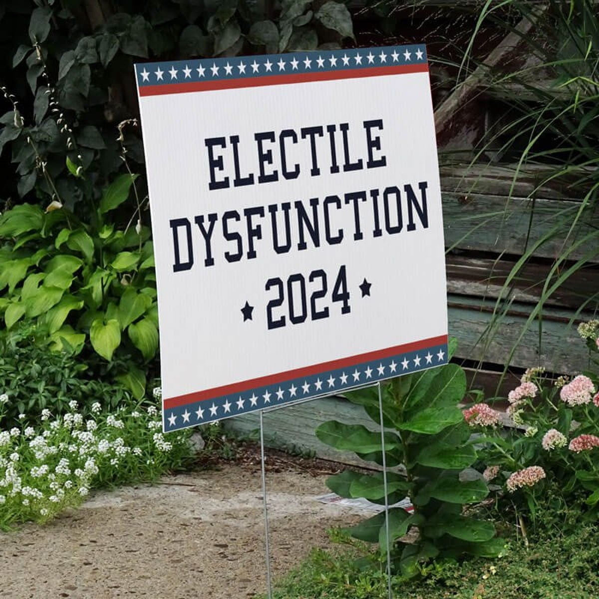 Electile Dysfunction Funny Political Yard Sign Next to Stairs