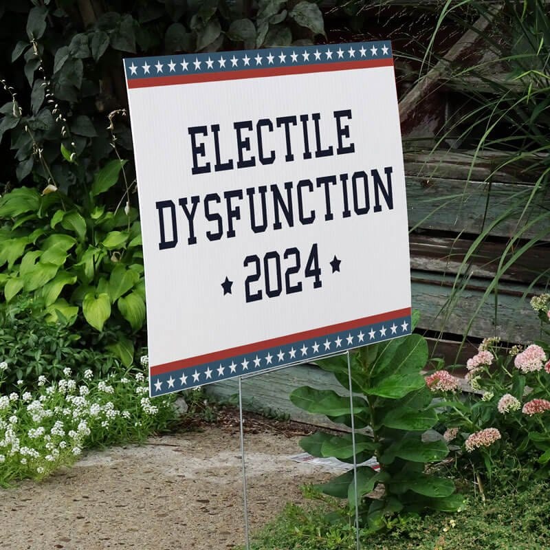 Electile Dysfunction Funny Political Yard Sign Next to Stairs