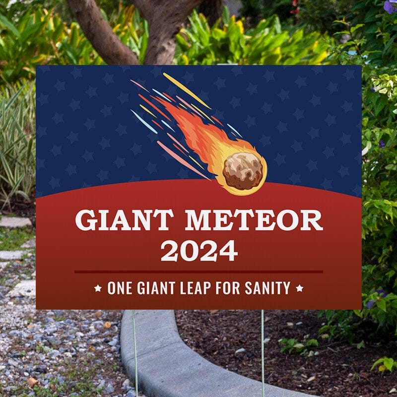 Giant Meteor Funny Political Yard Sign Next to Pavement