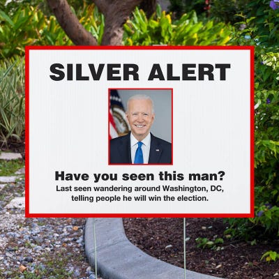 Silver Alert Funny Political Yard Sign - alternate view