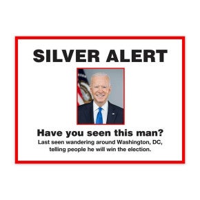 Silver Alert Funny Political Yard Sign