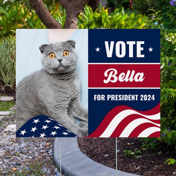 Custom Photo Funny Political Yard Sign - alternate view