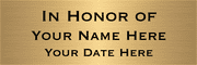 In Honor Of 2" x 6" Brass Plates