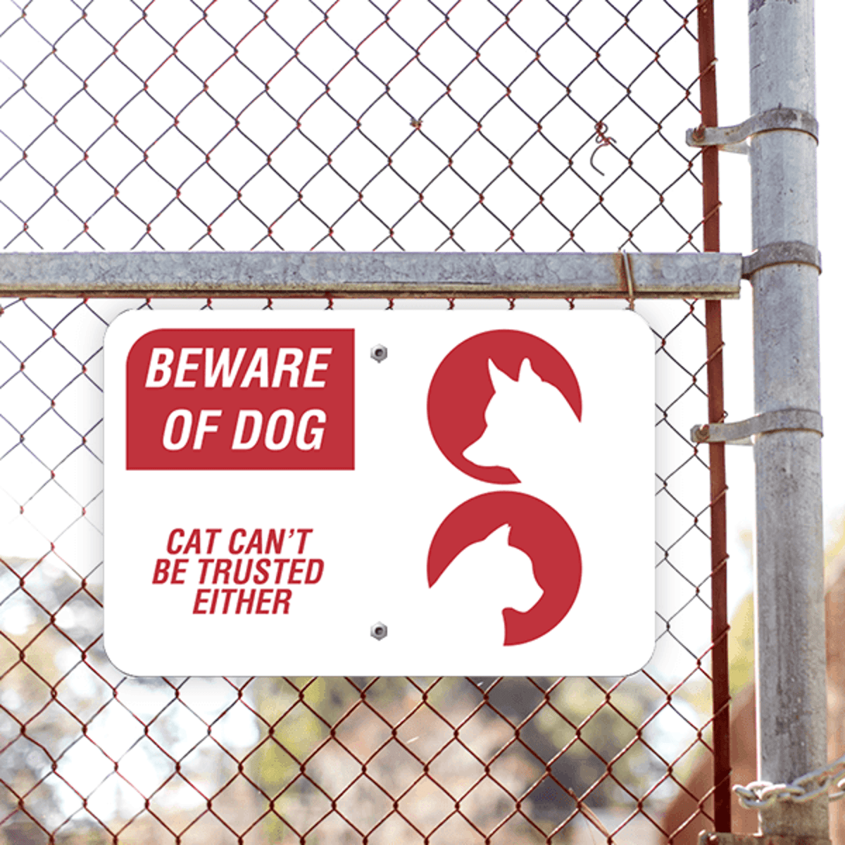 Beware of Dog and Cat Horizontal Sign Lifestyle Photo Outside