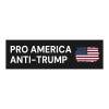 Anti-Trump Political Bumper Sticker